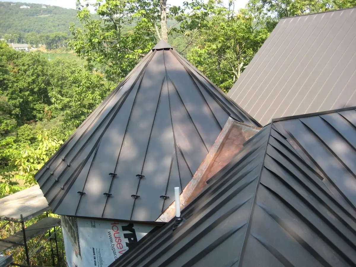 Professional Gutter Cleaning by Craftsman Roofing in Santa Rosa